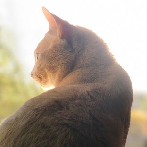 Meet your Posher, Serena